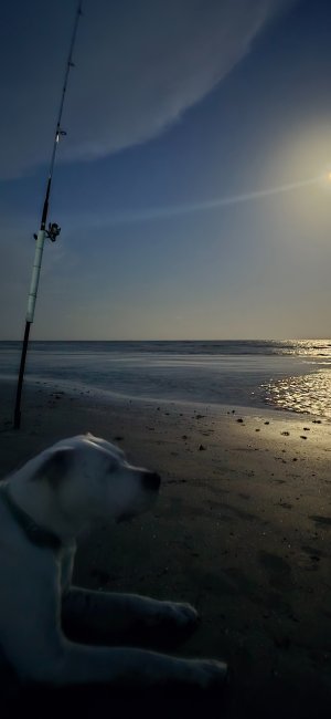 20250609_205938.jpg